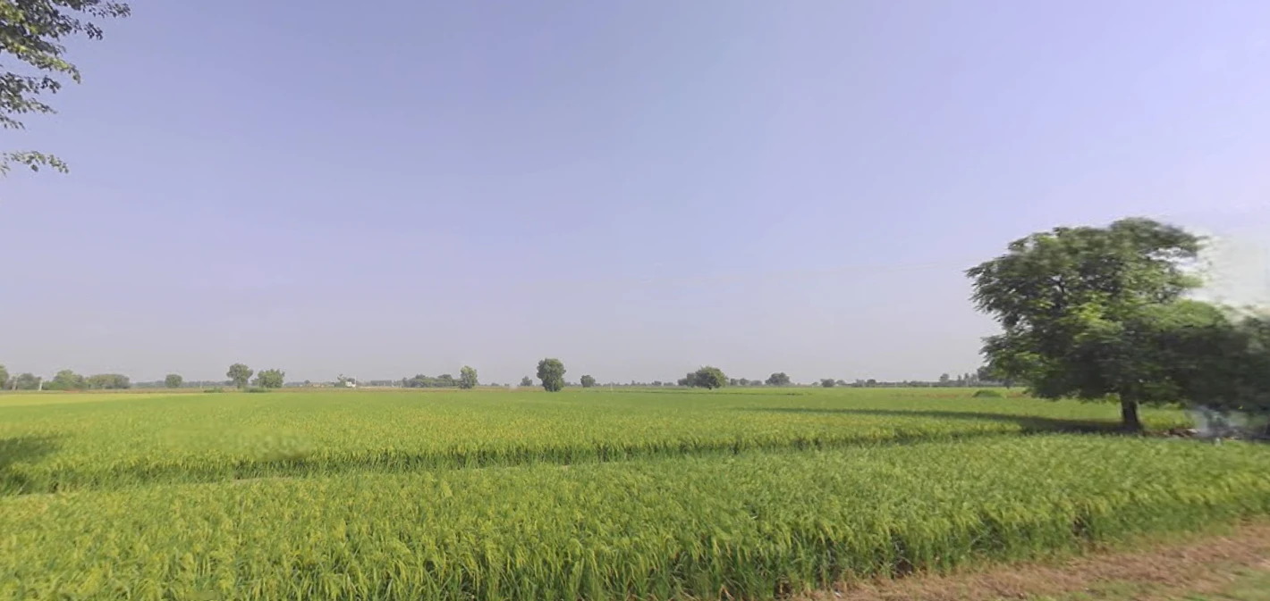 Nuran Khera, Haryana 131302, India