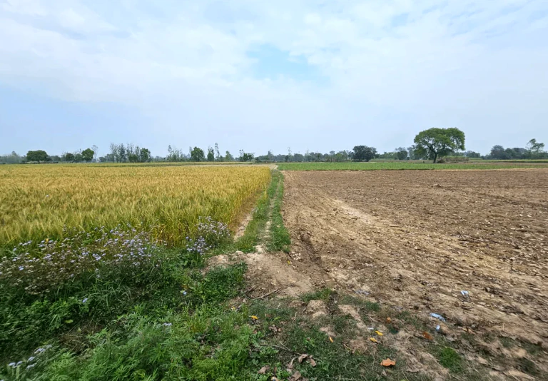 Belpahari, West Bengal 721501, India