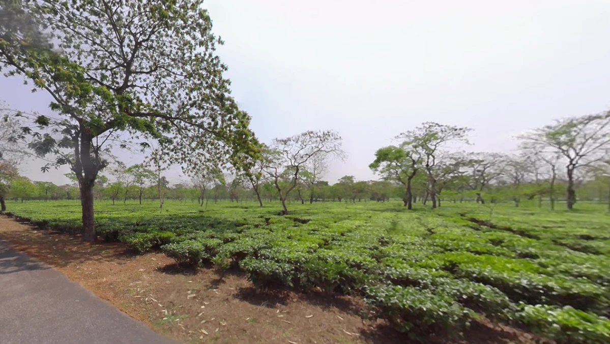 Paharpur, West Bengal, India