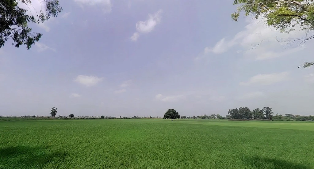 Pharal, Haryana 136021, India
