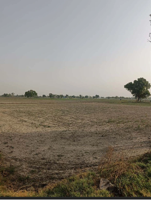 Milkpur, Rajasthan 301026, India - Photo 3