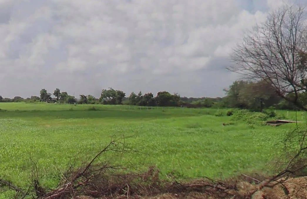 MXHC+XH Rana Kui, Rajasthan, India