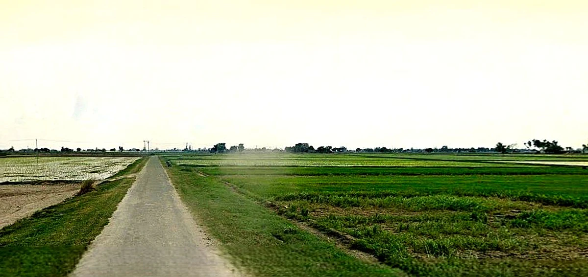 Narayanpur, Uttar Pradesh 210502, India