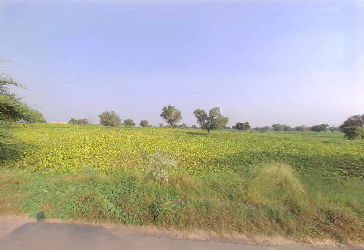 Siwani, Haryana 127046, India