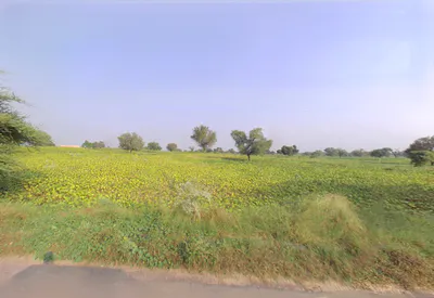 Siwani, Haryana 127046, India preview 3