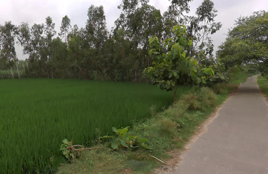 Shahabad, Uttar Pradesh 244922, India