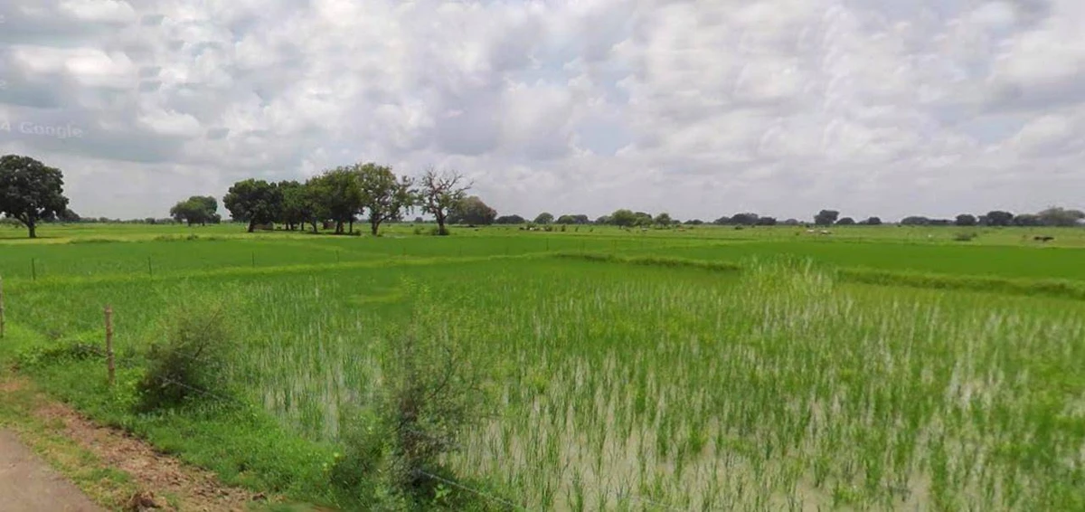 Yamuna Nagar, Haryana, India