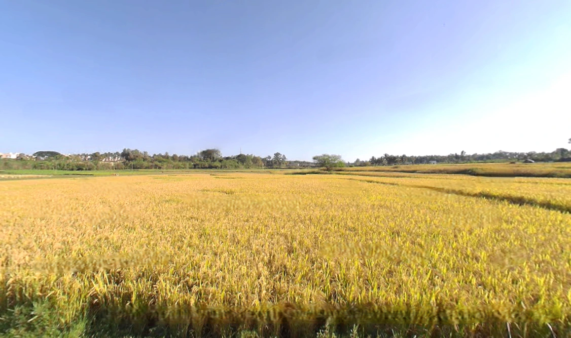 Hunsur, Karnataka, India