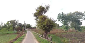 Kanadiya, Madhya Pradesh 452016, India preview 2