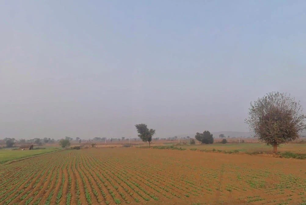 Alwar Bypass Rd, Tijara, Rajasthan, India