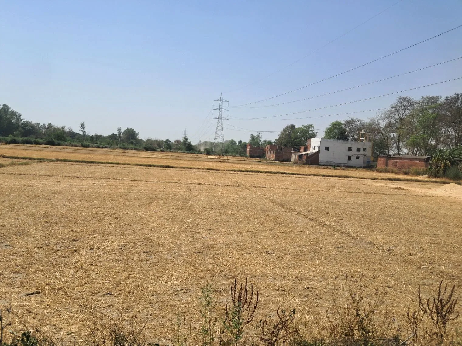 P6RV+J4 Mohtarim Pur Uparhar, Uttar Pradesh, India