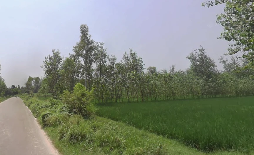 Behat, Uttar Pradesh 247121, India