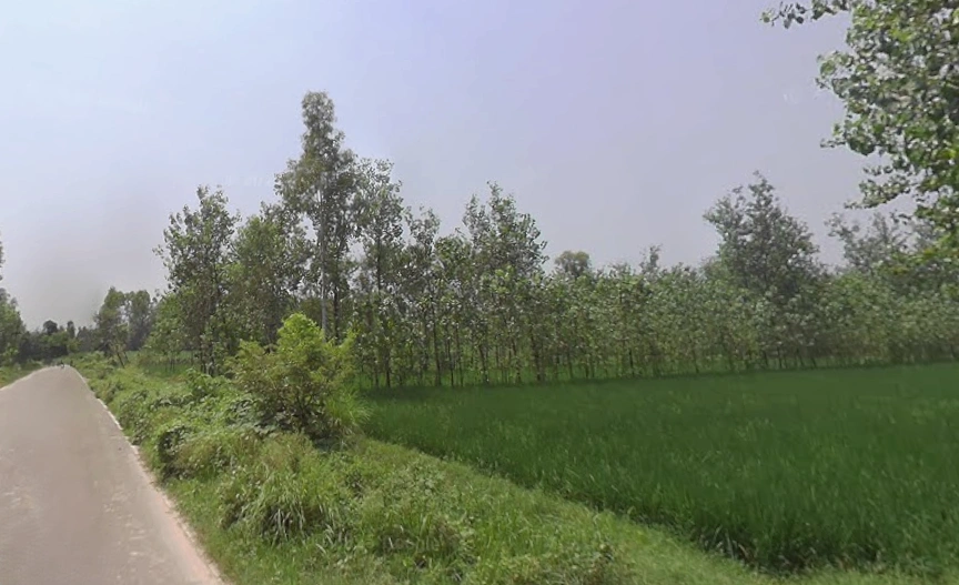 Behat, Uttar Pradesh 247121, India