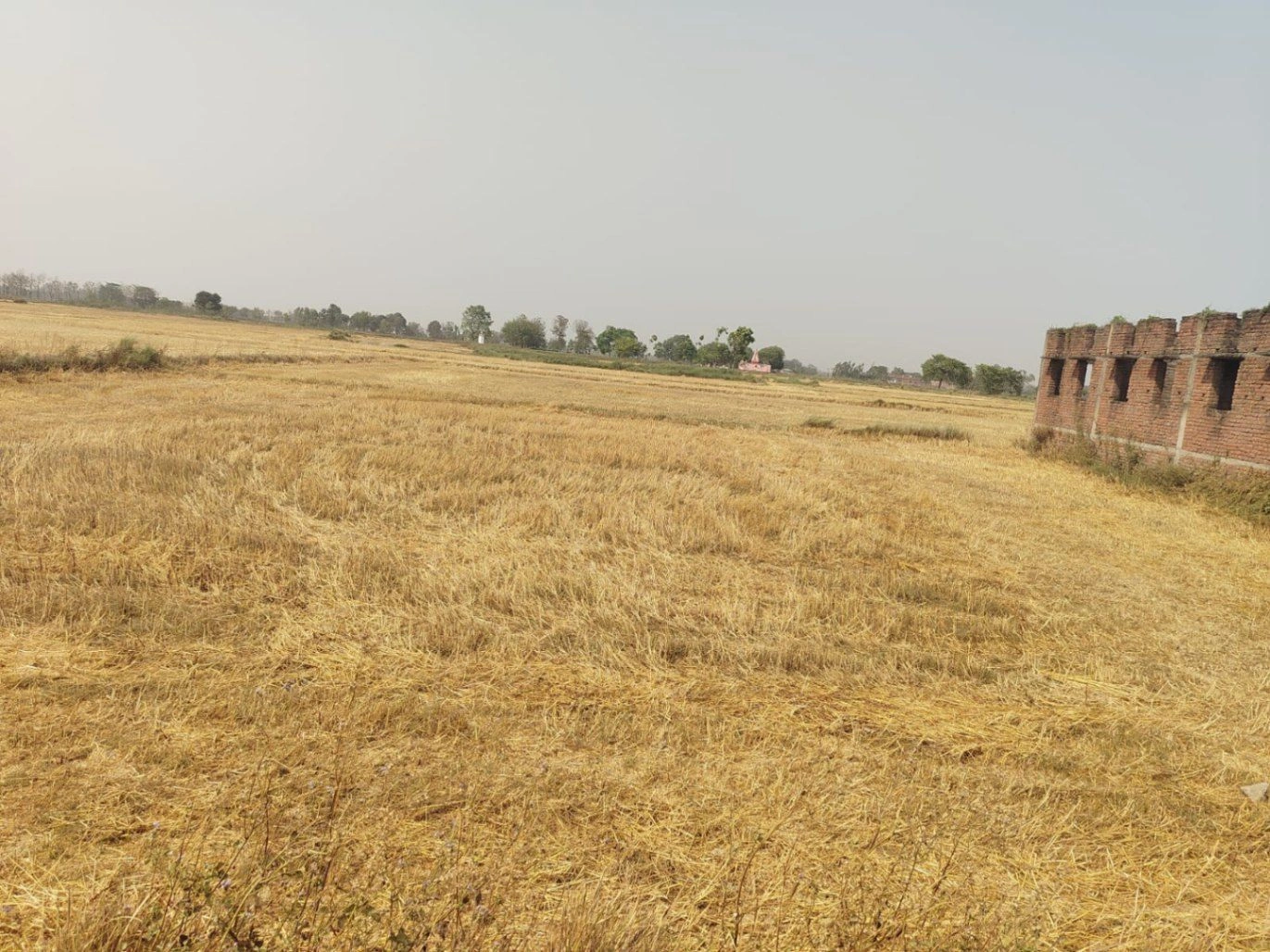 Chandrauta, Uttar Pradesh 274401, India