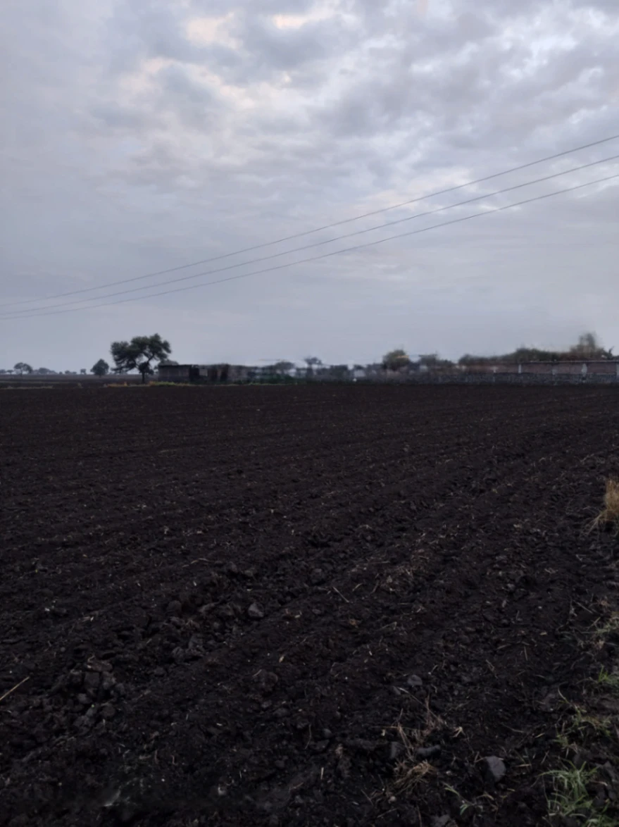 Mangrola, Ujjain, Madhya Pradesh 456006, India