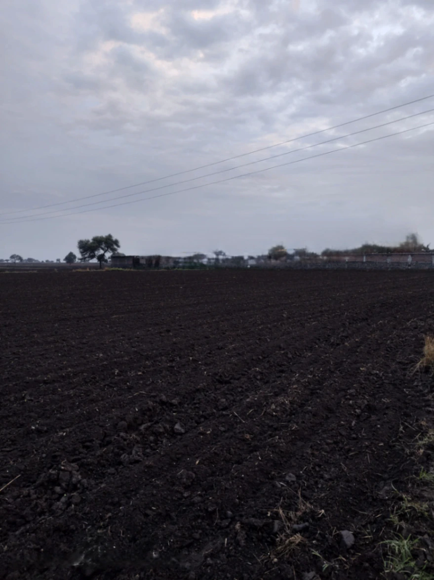 Mangrola, Ujjain, Madhya Pradesh 456006, India