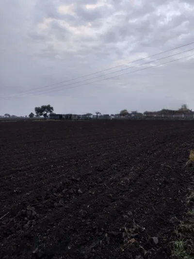 Mangrola, Ujjain, Madhya Pradesh 456006, India preview 2
