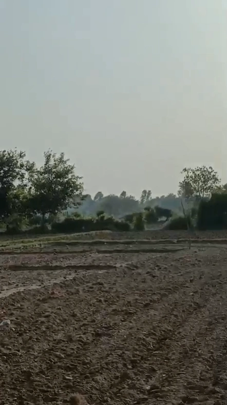 W528+RP Lasani Doyama, Beawar, India