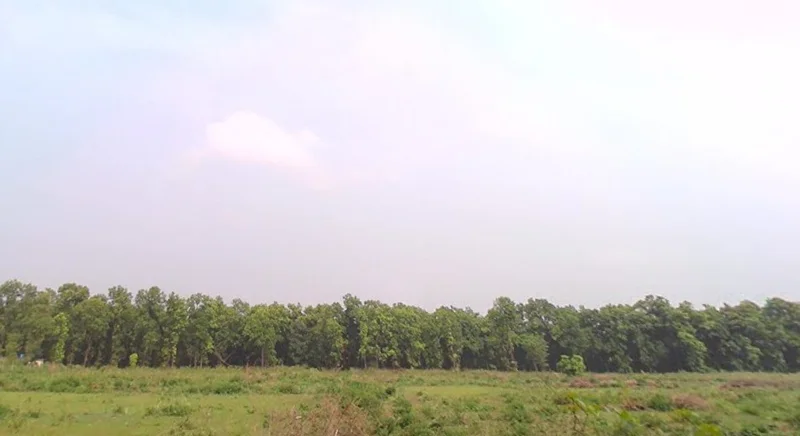 Manduwala, Naugaon, Uttarakhand 248007, India preview 2