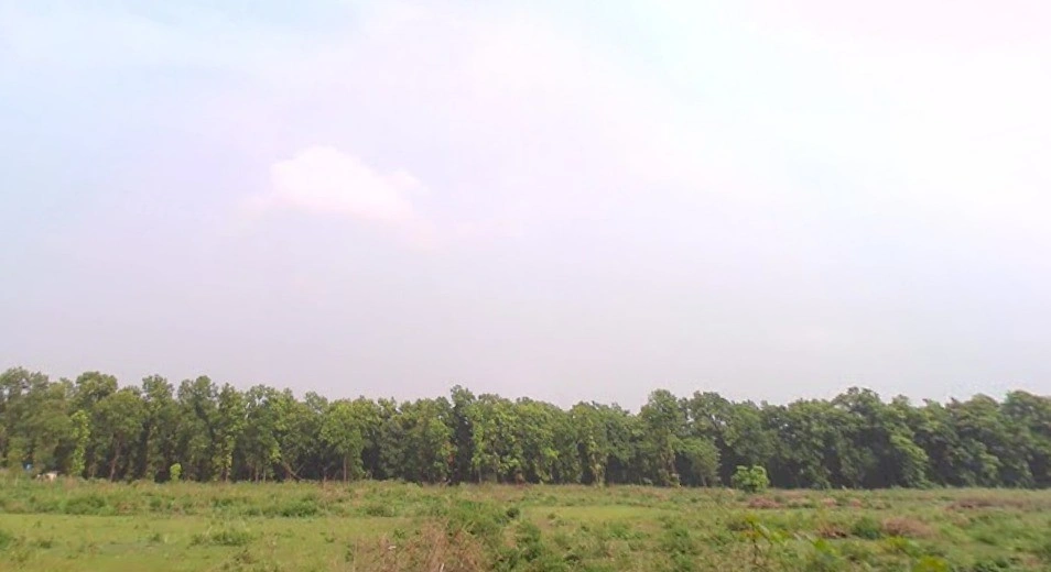 Manduwala, Naugaon, Uttarakhand 248007, India