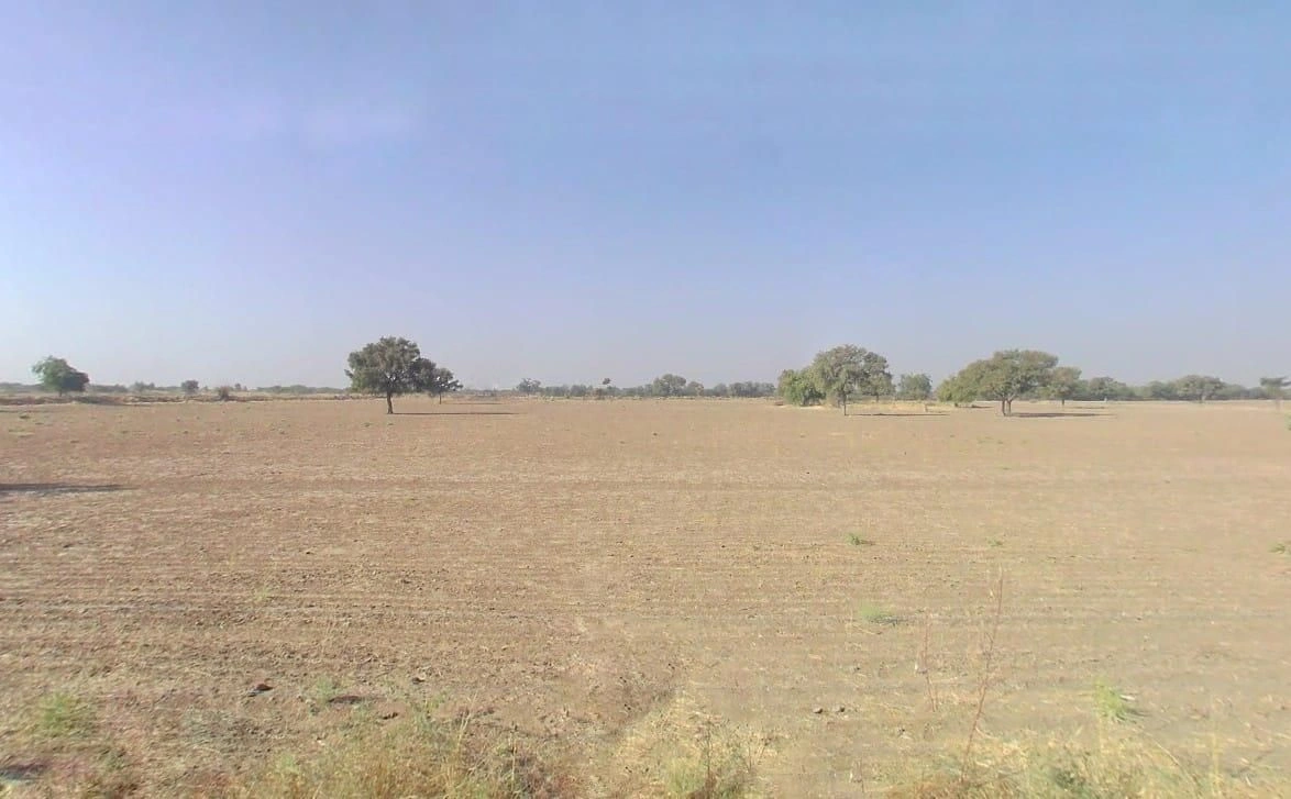Bandai, Rajasthan 306421, India