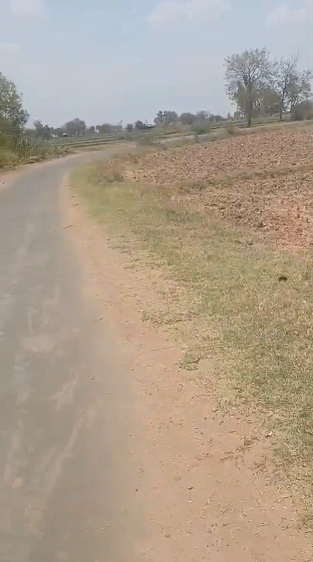 Silothi, Jhajjar, Haryana, India