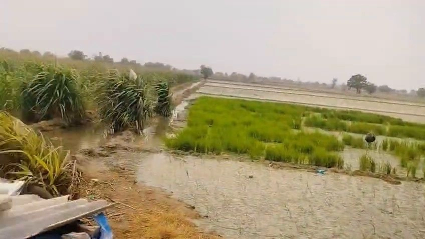 649V+V23, Hoshiarpur, Garhshankar, Punjab 144527, India