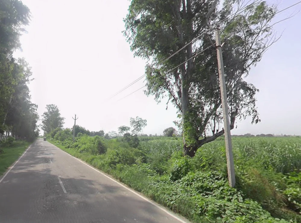 Pepla, Uttar Pradesh, India