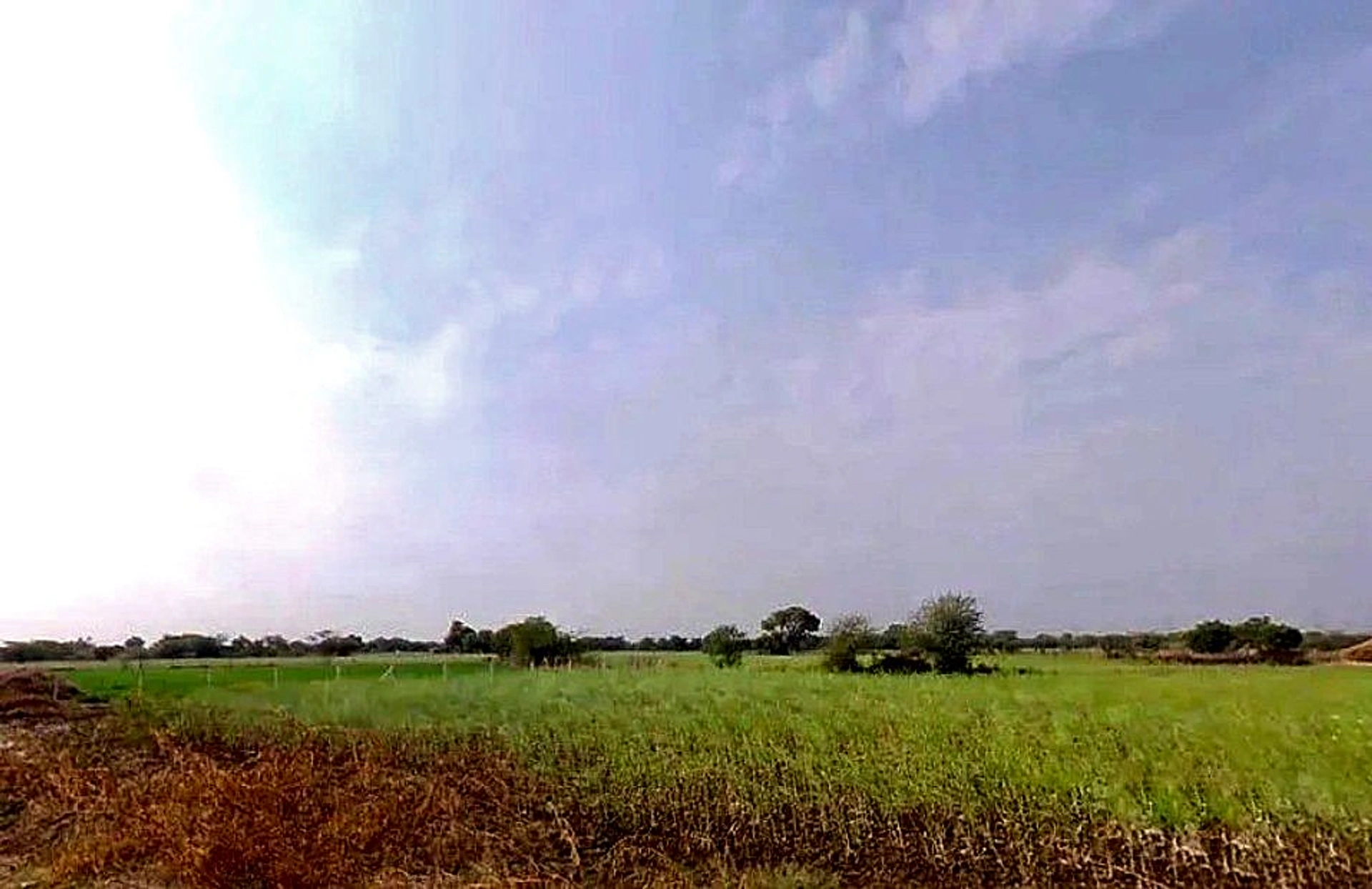 Bassi Naaga, Jaipur, NH-8, Ajmer Road, Jobner, Jobner, Rajasthan 303329, India