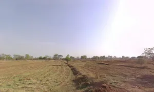 Bathena, Chhattisgarh 491111, India preview 3