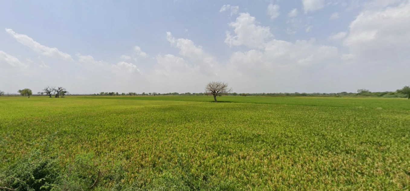 Ayalki, Haryana 125051, India