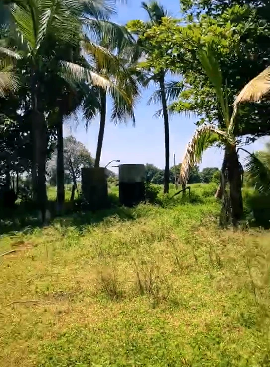 Akkaram Rd, Siddipet, Teegul, Telangana 502311, India