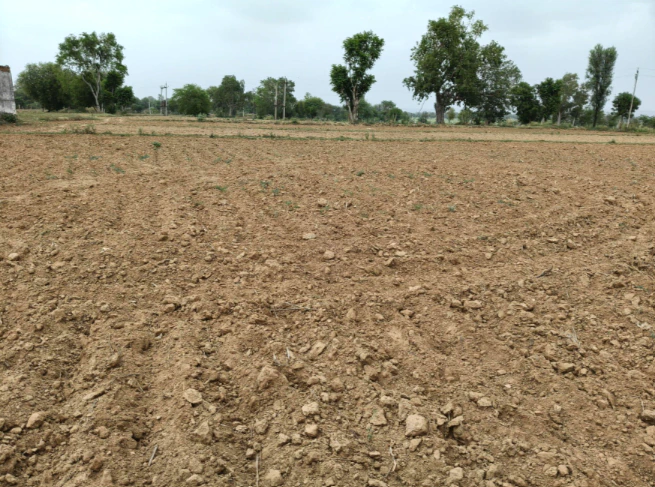 Chandpur, Uttar Pradesh, India