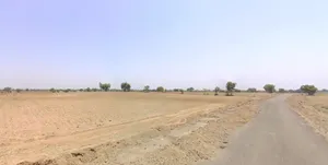 Dhapla, Madhya Pradesh, India preview 2