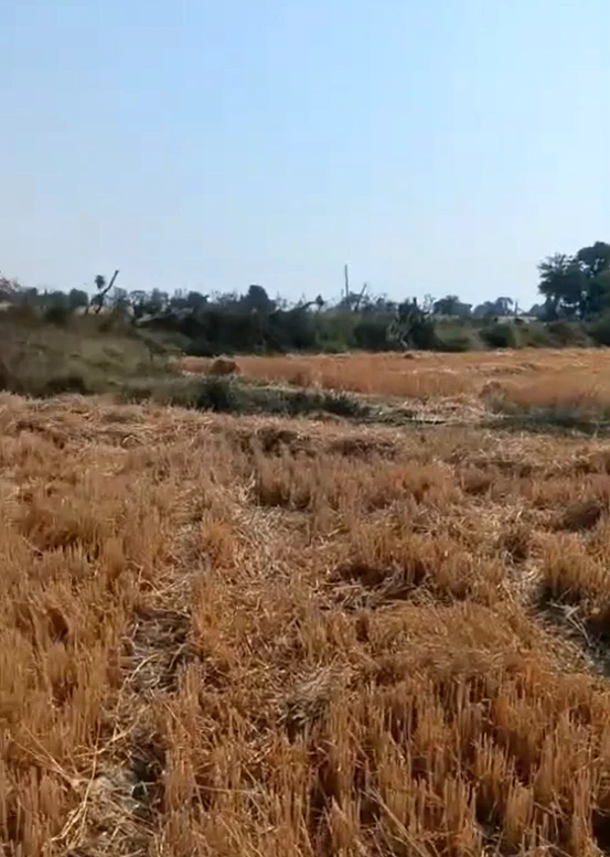 CXXG+VJQ, Ujjain, Dabdarajput, Madhya Pradesh 456668, India