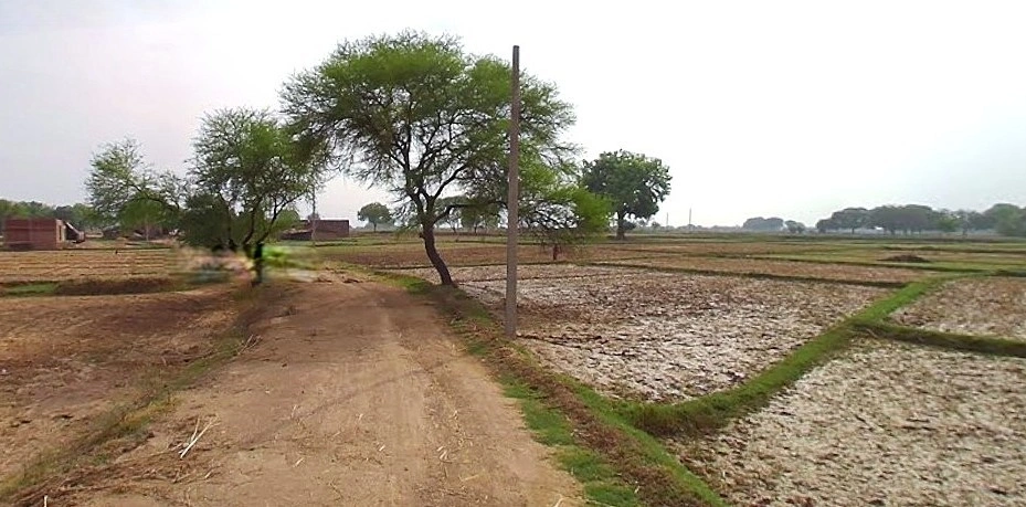 Prayagraj, Uttar Pradesh, India