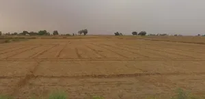 Tijara, Rajasthan 301411, India preview 3