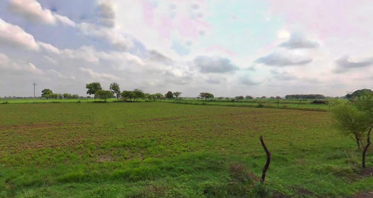 Charkhi Dadri, Haryana 127306, India