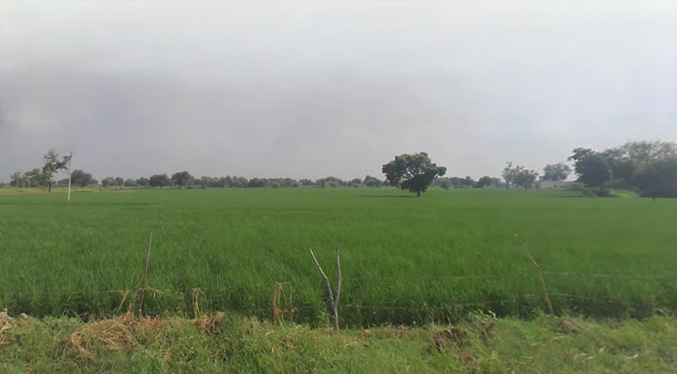 Radha Kund, Uttar Pradesh 281504, India