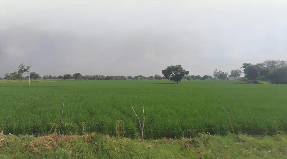 Radha Kund, Uttar Pradesh 281504, India