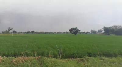 Radha Kund, Uttar Pradesh 281504, India preview 2