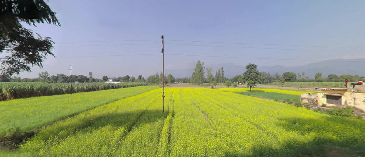 Nathuawala, Dehradun, Uttarakhand, India