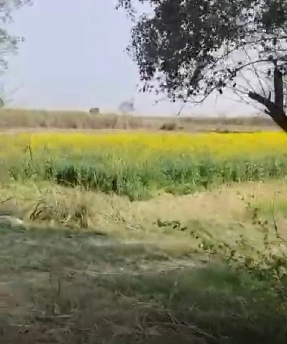 Mawana, Uttar Pradesh, India