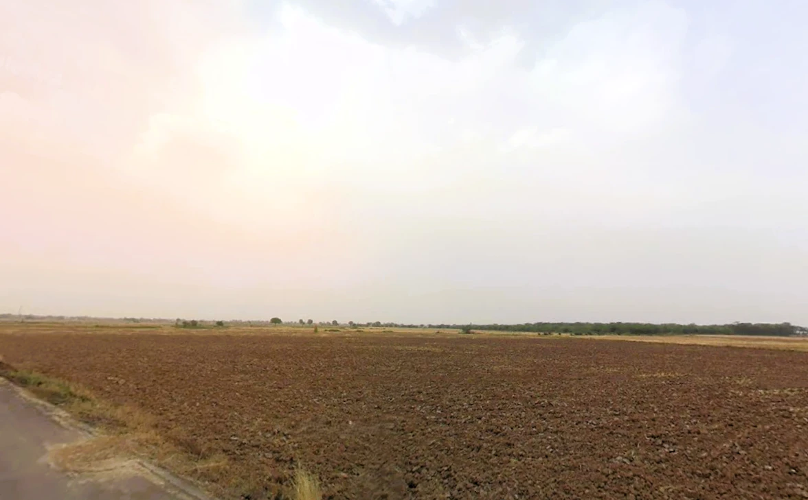 Luhari, Haryana 124108, India