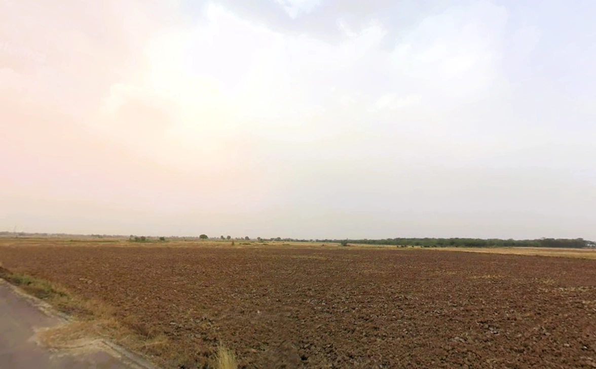 Luhari, Haryana 124108, India