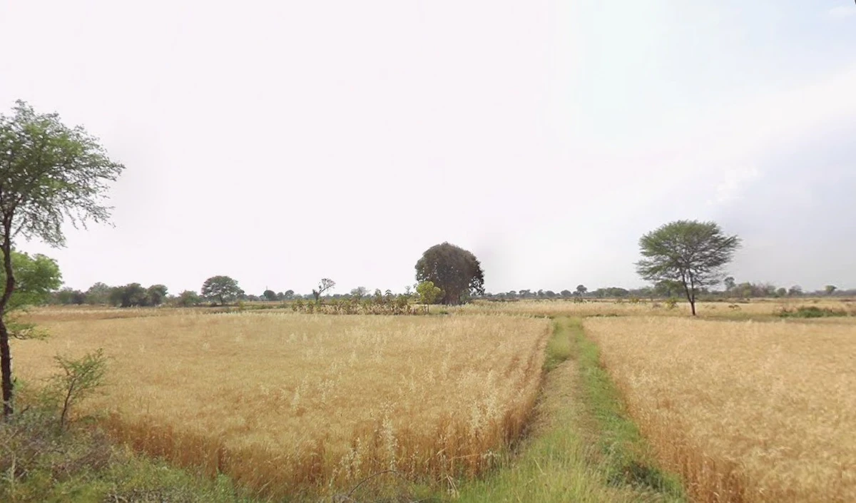 Satna, Madhya Pradesh, India