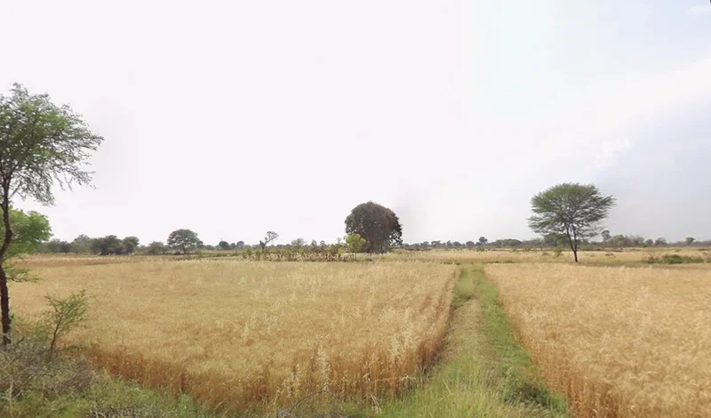 Satna, Madhya Pradesh, India preview 2