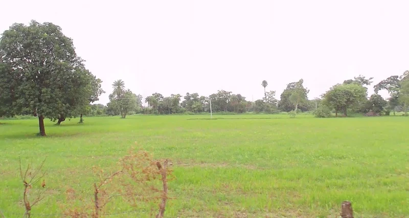 Obaidullaganj, Madhya Pradesh 464993, India preview 3