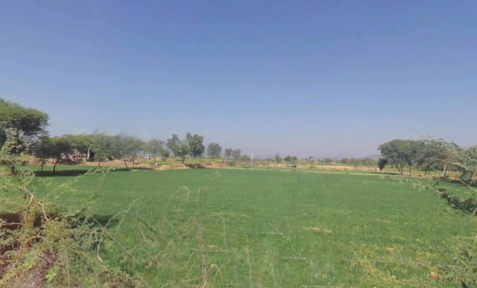 Q725+9J2, Beejolao, Rajasthan, India