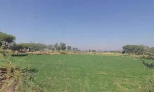 Q725+9J2, Beejolao, Rajasthan, India preview 2